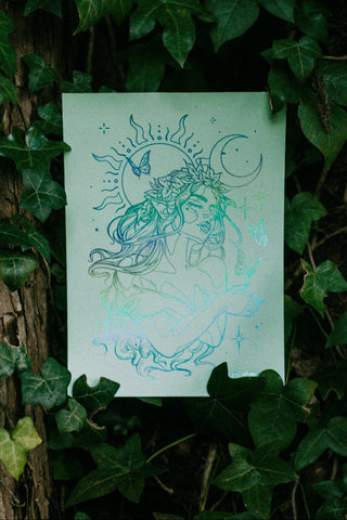 Enchanted Grove