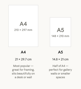 Comparison chart of A4, A5, and A6 paper sizes with dimensions and descriptions.